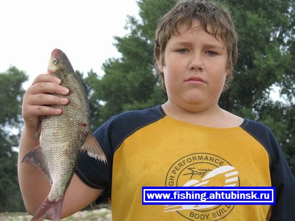 Like fisher 2