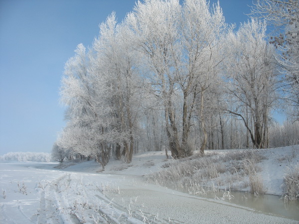 Ахтубинская зима 2009