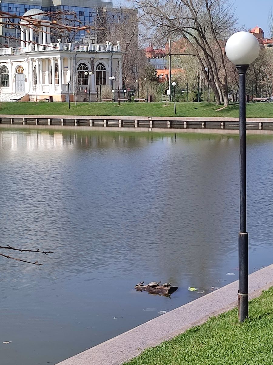 #Лебединое озеро в Астрахани