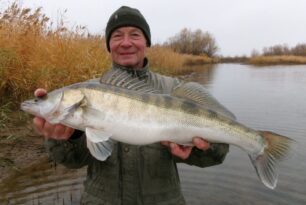 И снова за осенним судаком